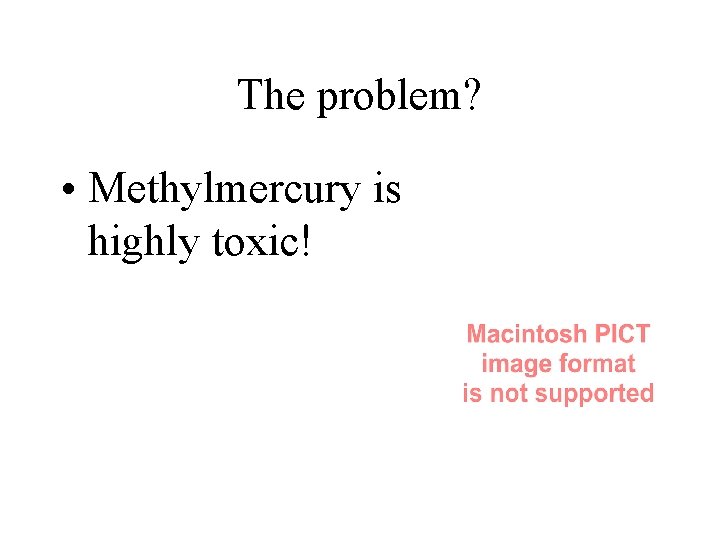 The problem? • Methylmercury is highly toxic! 