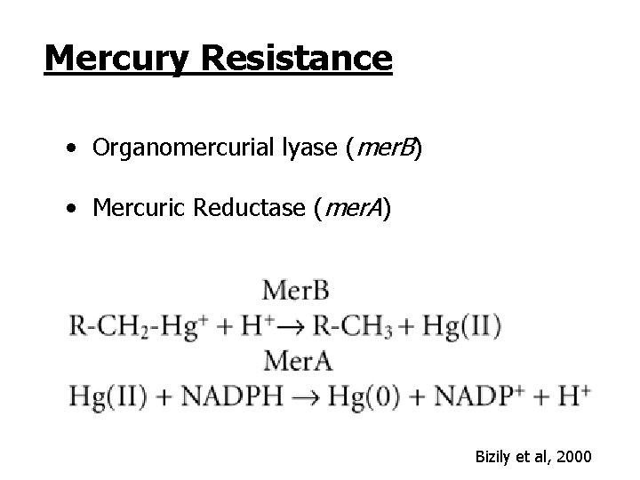 Mercury Resistance • Organomercurial lyase (mer. B) • Mercuric Reductase (mer. A) Bizily et