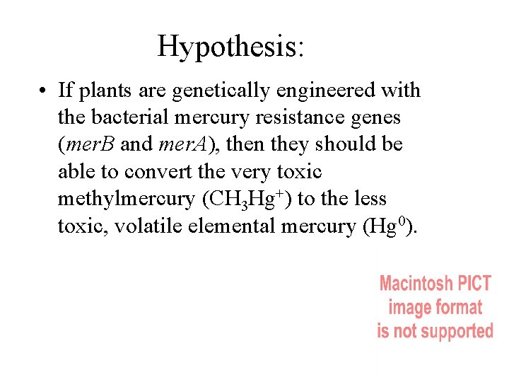 Hypothesis: • If plants are genetically engineered with the bacterial mercury resistance genes (mer.