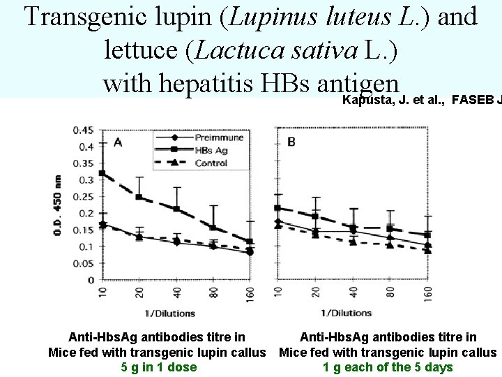 Transgenic lupin (Lupinus luteus L. ) and lettuce (Lactuca sativa L. ) with hepatitis
