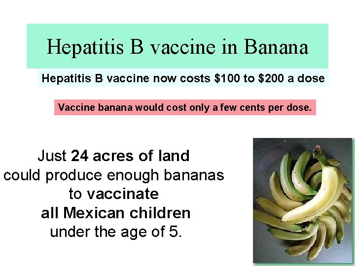 Hepatitis B vaccine in Banana Hepatitis B vaccine now costs $100 to $200 a