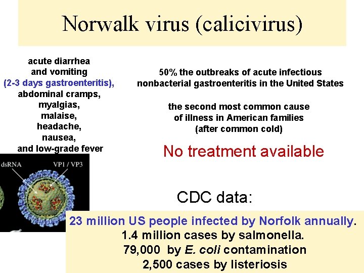 Norwalk virus (calicivirus) acute diarrhea and vomiting (2 -3 days gastroenteritis), abdominal cramps, myalgias,