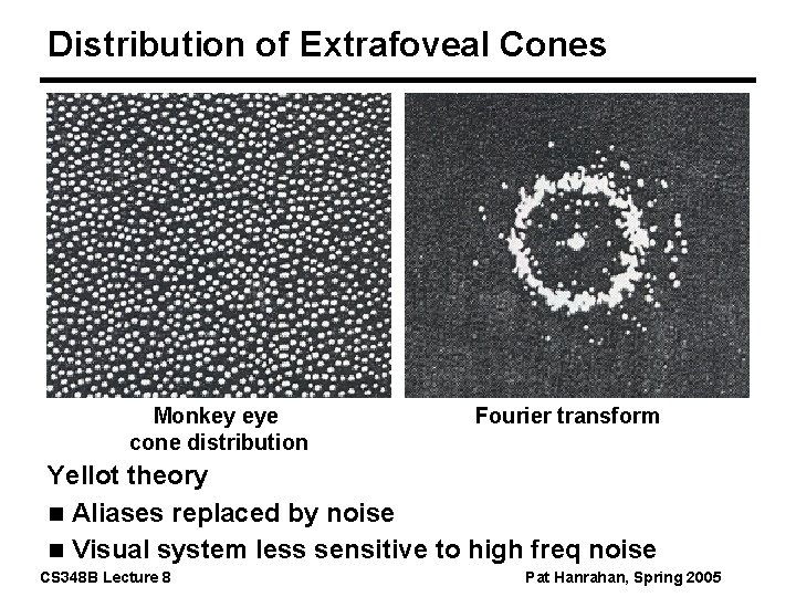 Distribution of Extrafoveal Cones Monkey eye cone distribution Fourier transform Yellot theory n Aliases