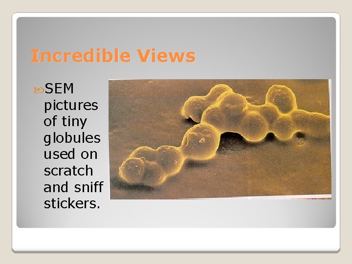 Incredible Views SEM pictures of tiny globules used on scratch and sniff stickers. 