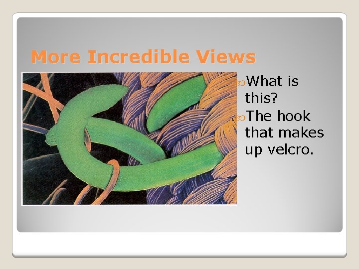 More Incredible Views What is this? The hook that makes up velcro. 