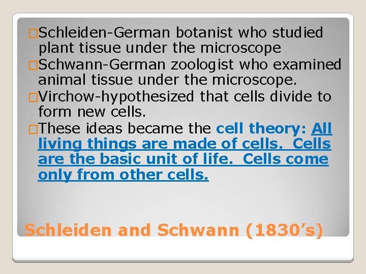 �Schleiden-German botanist who studied plant tissue under the microscope �Schwann-German zoologist who examined animal