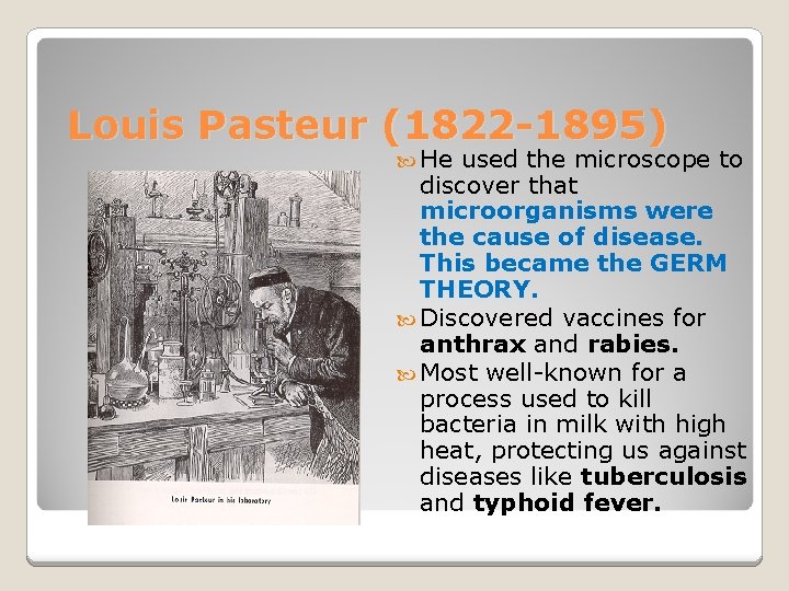 Louis Pasteur (1822 -1895) He used the microscope to discover that microorganisms were the