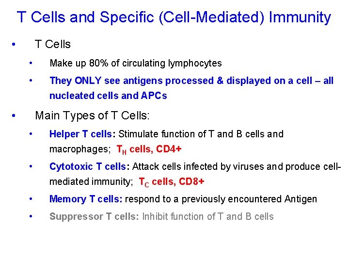 T Cells and Specific (Cell-Mediated) Immunity • T Cells • Make up 80% of