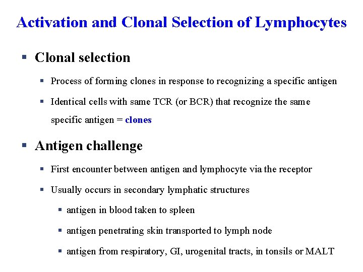 Activation and Clonal Selection of Lymphocytes § Clonal selection § Process of forming clones