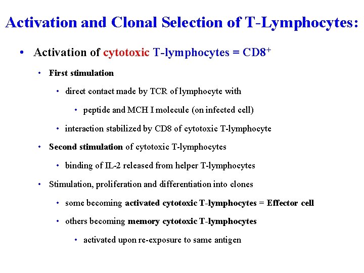 Activation and Clonal Selection of T-Lymphocytes: • Activation of cytotoxic T-lymphocytes = CD 8+