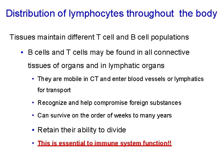 Distribution of lymphocytes throughout the body Tissues maintain different T cell and B cell