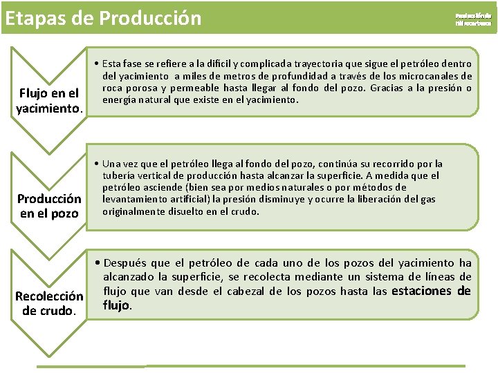 Etapas de Producción Flujo en el yacimiento. Producción en el pozo Producción de Hidrocarburos
