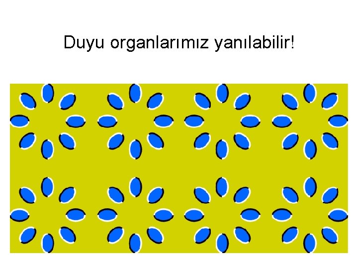 Duyu organlarımız yanılabilir! 