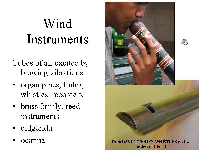 Wind Instruments Tubes of air excited by blowing vibrations • organ pipes, flutes, whistles,
