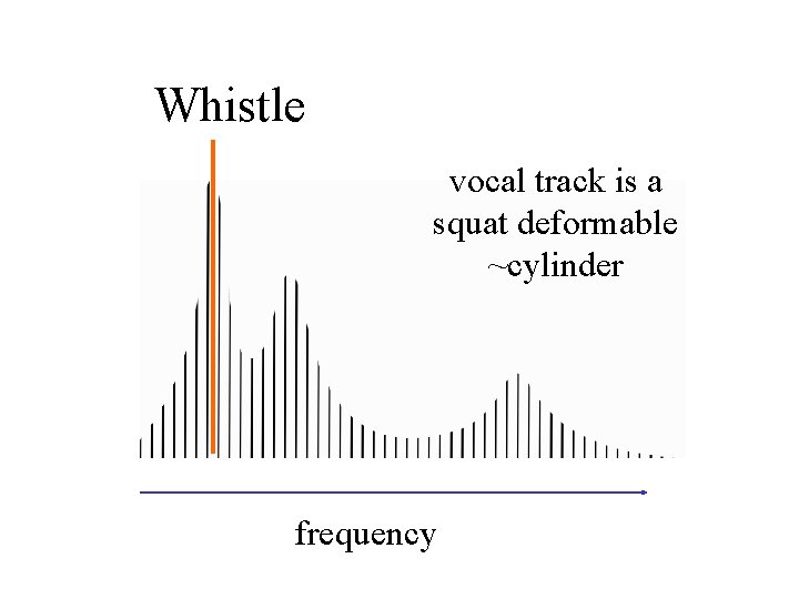 Whistle vocal track is a squat deformable ~cylinder frequency 