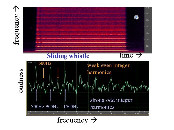 frequency time Sliding whistle 600 Hz loudness weak even integer harmonics 300 Hz 900