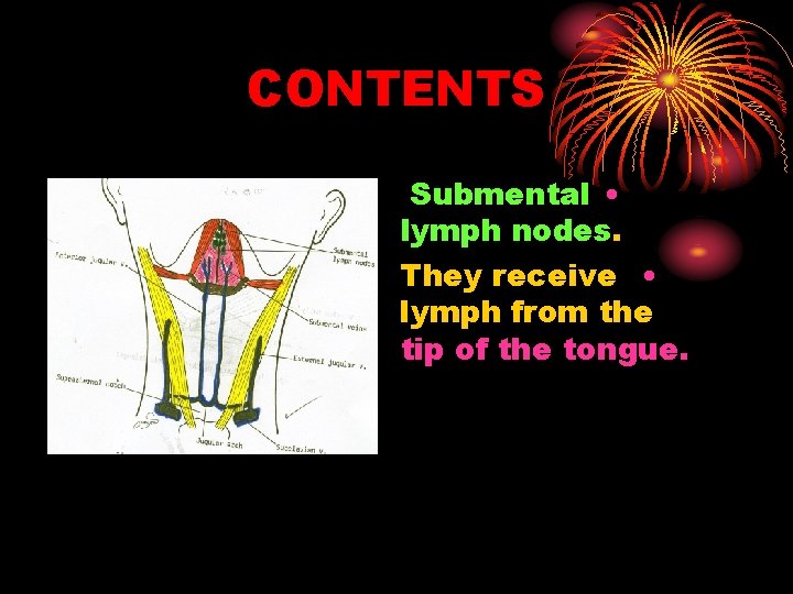 CONTENTS Submental • lymph nodes. They receive • lymph from the tip of the