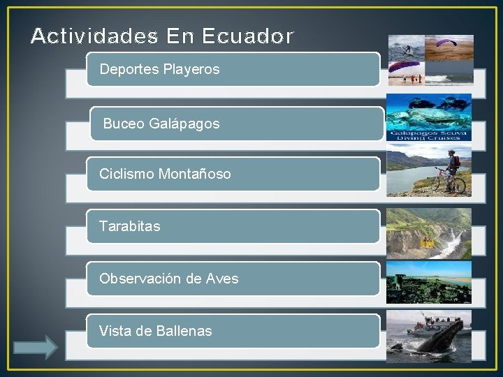 Actividades En Ecuador Deportes Playeros Buceo Galápagos Ciclismo Montañoso Tarabitas Observación de Aves Vista