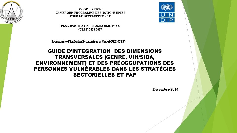 COOPERATION CAMEROUN-PROGRAMME DES NATIONS UNIES POUR LE DEVELOPPEMENT PLAN D’ACTION DU PROGRAMME PAYS (CPAP)