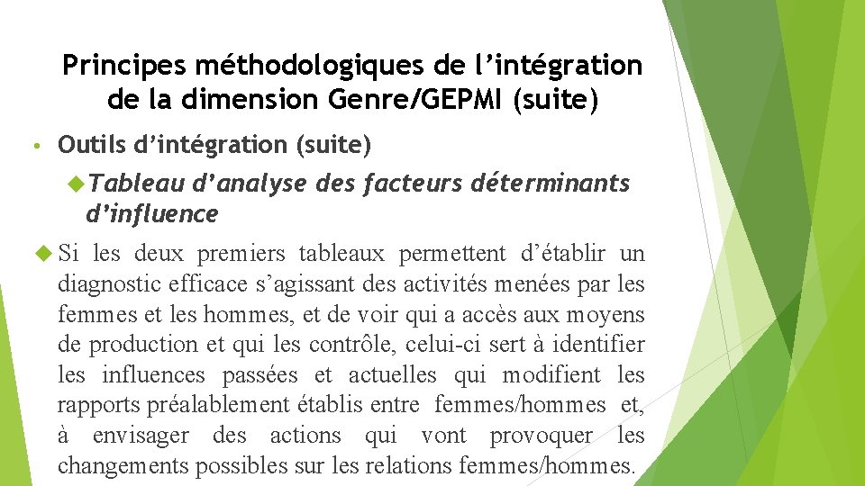 Principes méthodologiques de l’intégration de la dimension Genre/GEPMI (suite) • Outils d’intégration (suite) Tableau