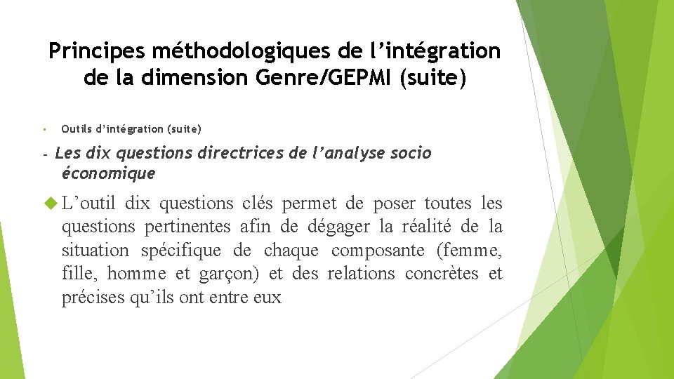 Principes méthodologiques de l’intégration de la dimension Genre/GEPMI (suite) • - Outils d’intégration (suite)