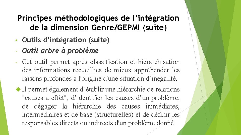 Principes méthodologiques de l’intégration de la dimension Genre/GEPMI (suite) • Outils d’intégration (suite) -