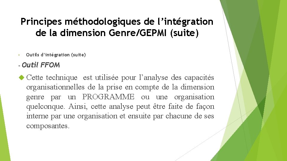 Principes méthodologiques de l’intégration de la dimension Genre/GEPMI (suite) • - Outils d’intégration (suite)