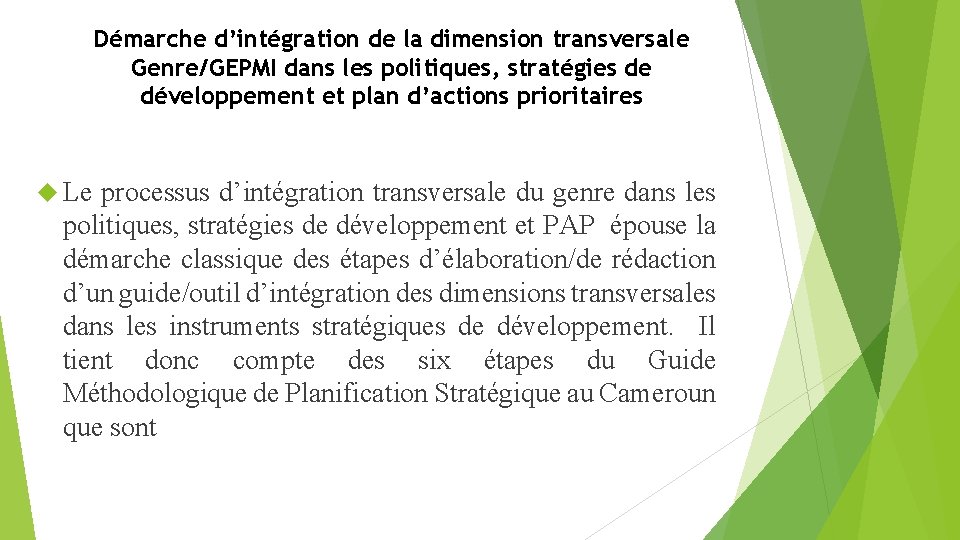 Démarche d’intégration de la dimension transversale Genre/GEPMI dans les politiques, stratégies de développement et