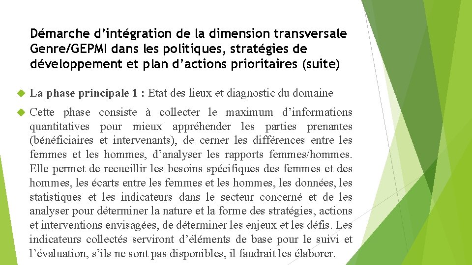 Démarche d’intégration de la dimension transversale Genre/GEPMI dans les politiques, stratégies de développement et