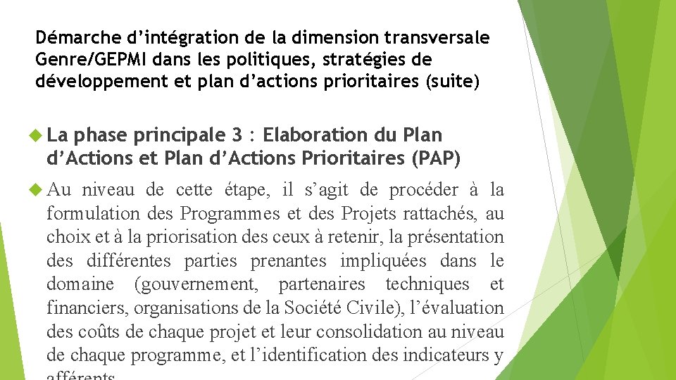 Démarche d’intégration de la dimension transversale Genre/GEPMI dans les politiques, stratégies de développement et