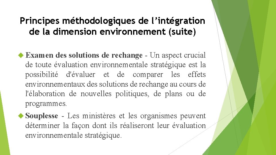 Principes méthodologiques de l’intégration de la dimension environnement (suite) Examen des solutions de rechange