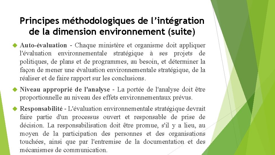 Principes méthodologiques de l’intégration de la dimension environnement (suite) Auto-évaluation Chaque ministère et organisme