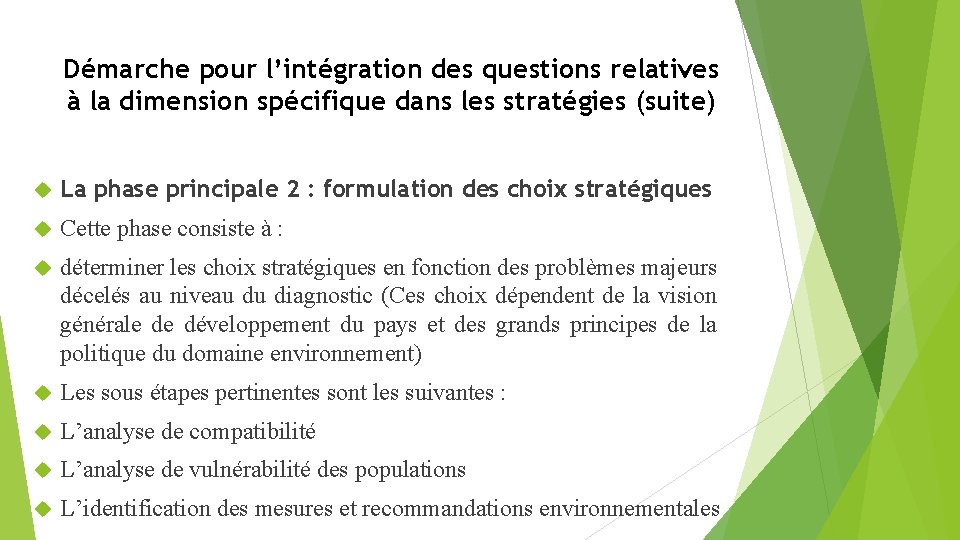 Démarche pour l’intégration des questions relatives à la dimension spécifique dans les stratégies (suite)