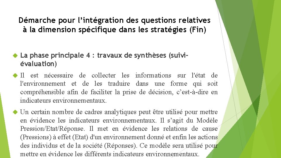 Démarche pour l’intégration des questions relatives à la dimension spécifique dans les stratégies (Fin)