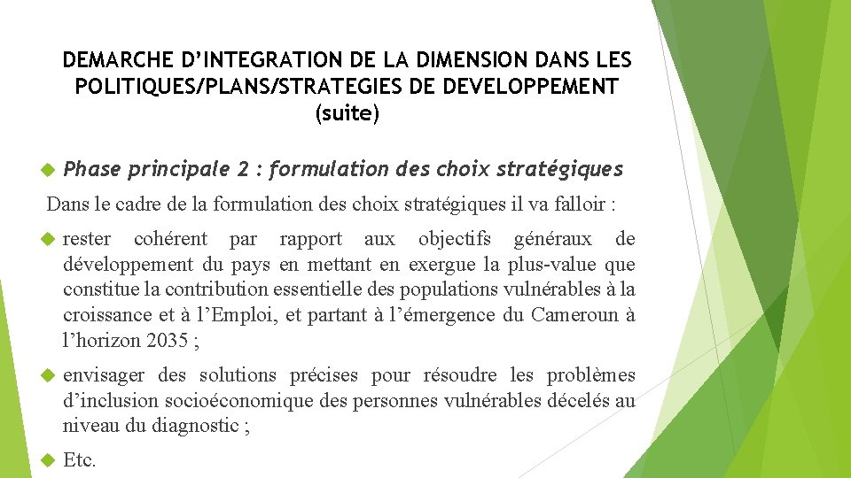 DEMARCHE D’INTEGRATION DE LA DIMENSION DANS LES POLITIQUES/PLANS/STRATEGIES DE DEVELOPPEMENT (suite) Phase principale 2