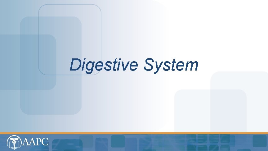 Digestive System 