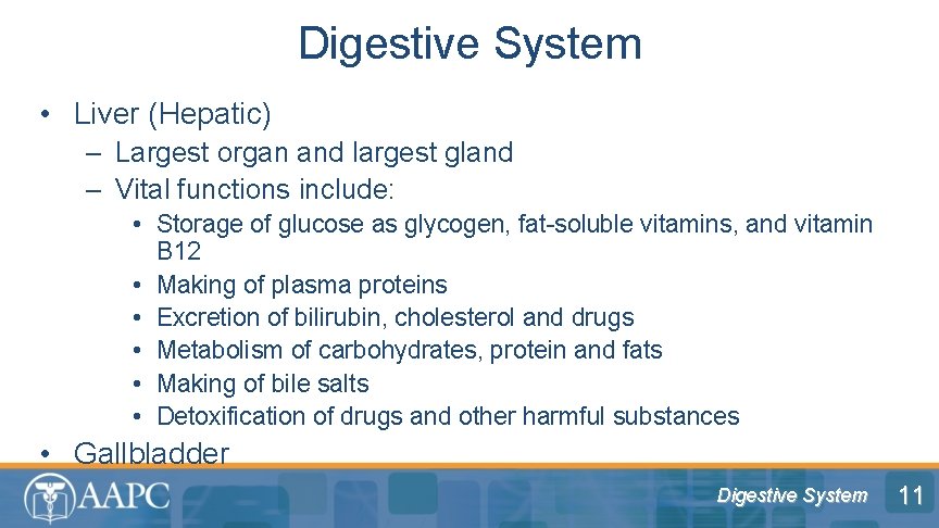 Digestive System • Liver (Hepatic) – Largest organ and largest gland – Vital functions