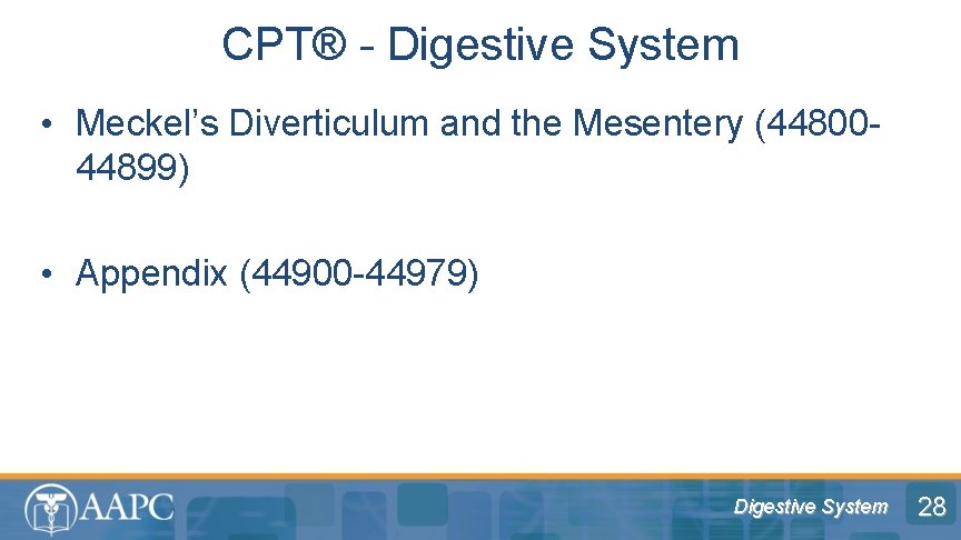 CPT® - Digestive System • Meckel’s Diverticulum and the Mesentery (4480044899) • Appendix (44900