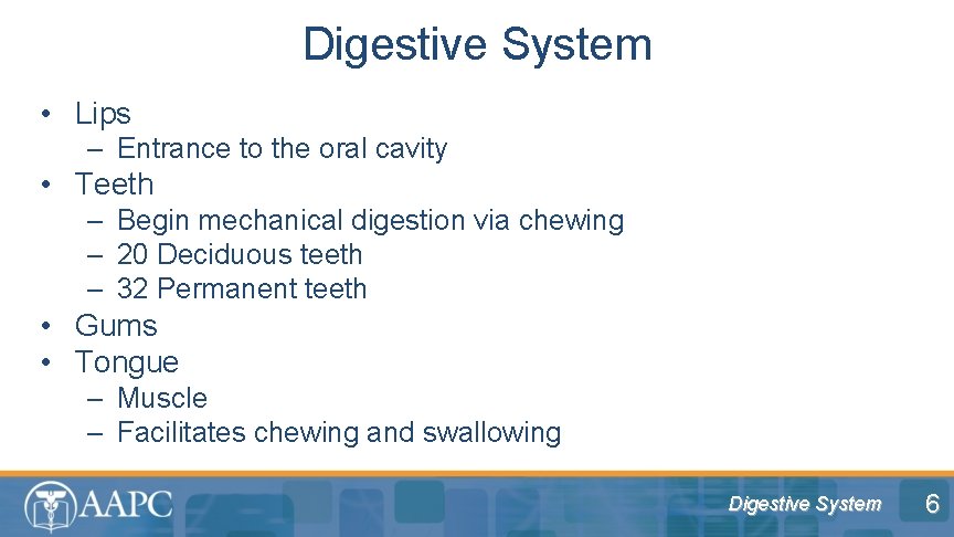 Digestive System • Lips – Entrance to the oral cavity • Teeth – Begin