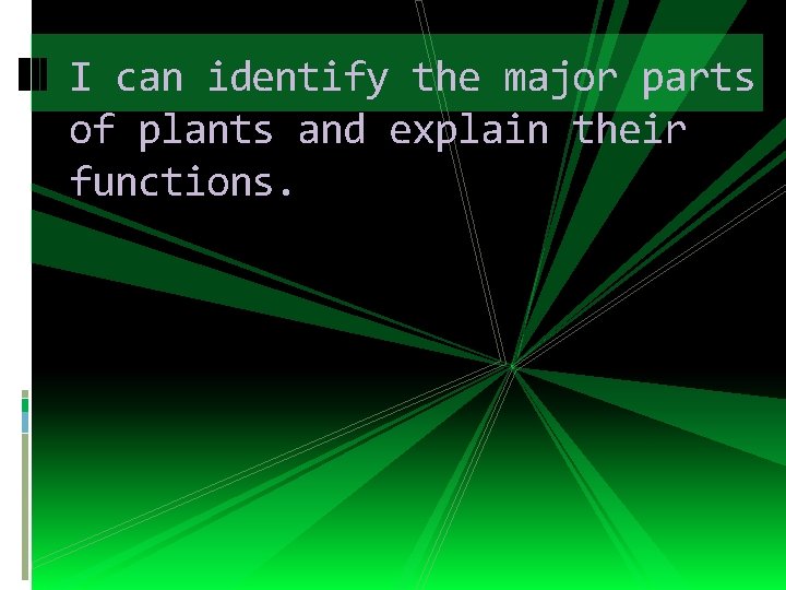 I can identify the major parts of plants and explain their functions. 