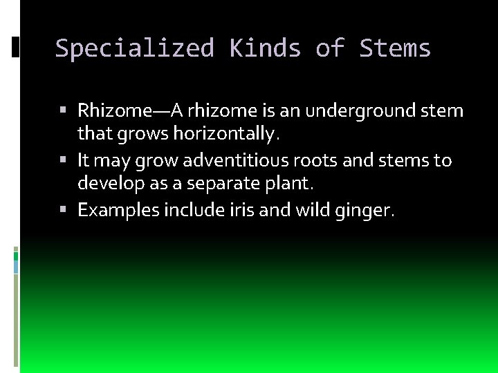 Specialized Kinds of Stems Rhizome—A rhizome is an underground stem that grows horizontally. It