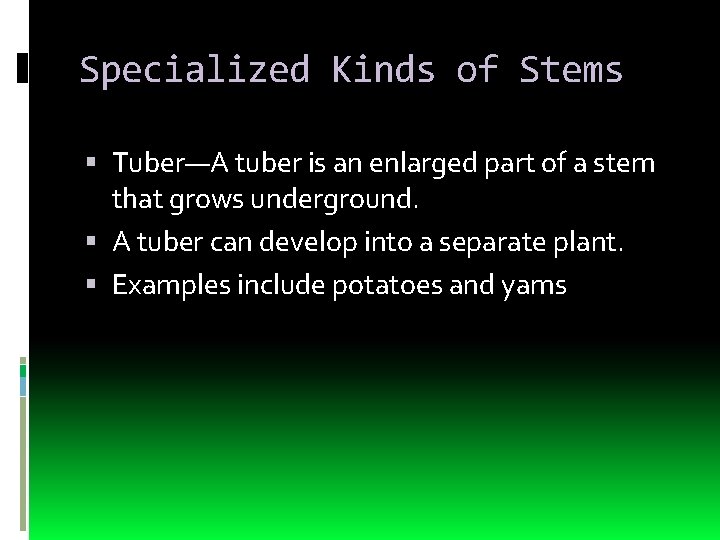 Specialized Kinds of Stems Tuber—A tuber is an enlarged part of a stem that