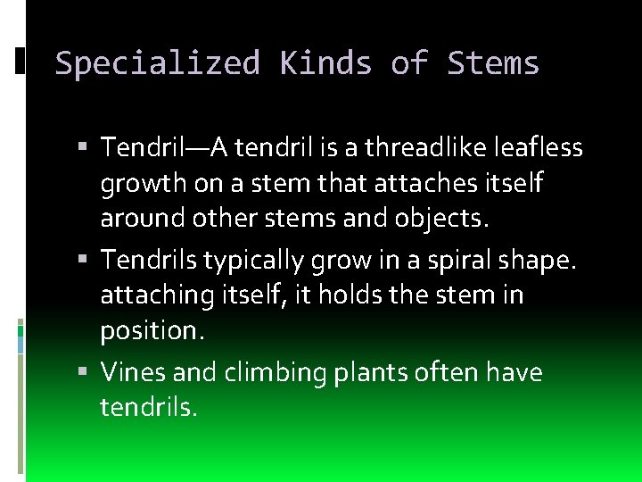 Specialized Kinds of Stems Tendril—A tendril is a threadlike leafless growth on a stem