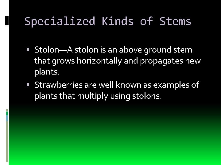 Specialized Kinds of Stems Stolon—A stolon is an above ground stem that grows horizontally