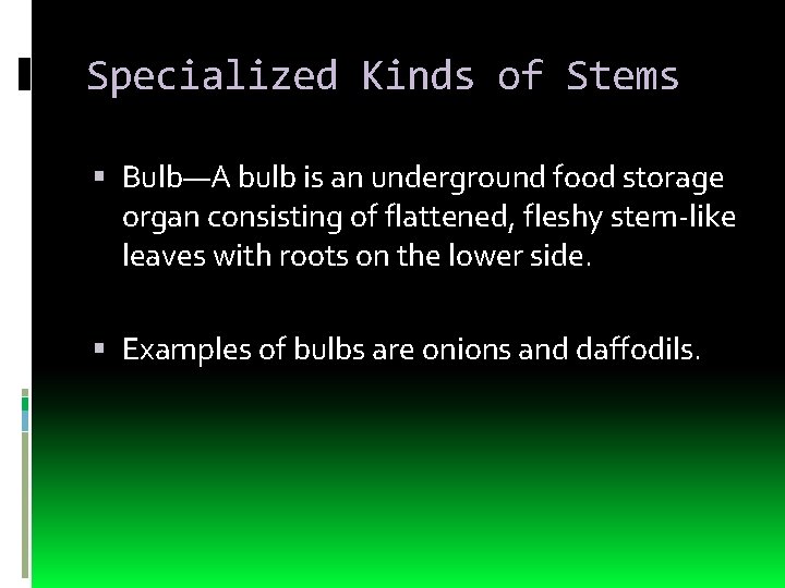 Specialized Kinds of Stems Bulb—A bulb is an underground food storage organ consisting of