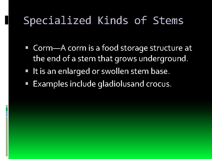 Specialized Kinds of Stems Corm—A corm is a food storage structure at the end