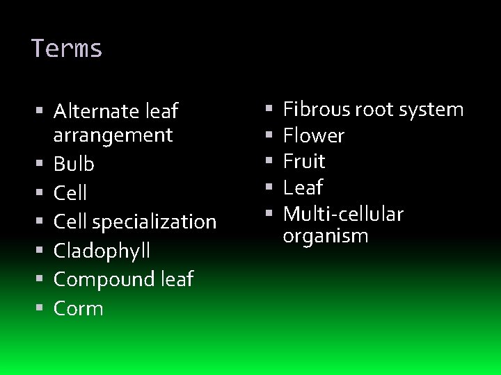 Terms Alternate leaf arrangement Bulb Cell specialization Cladophyll Compound leaf Corm Fibrous root system