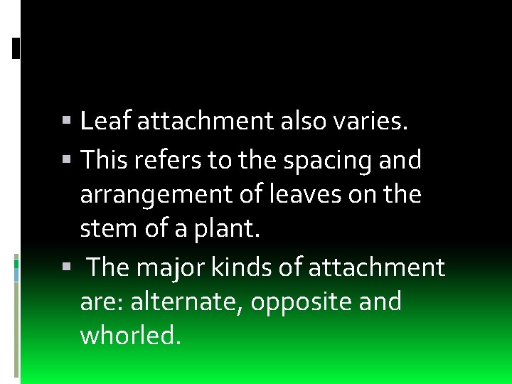  Leaf attachment also varies. This refers to the spacing and arrangement of leaves