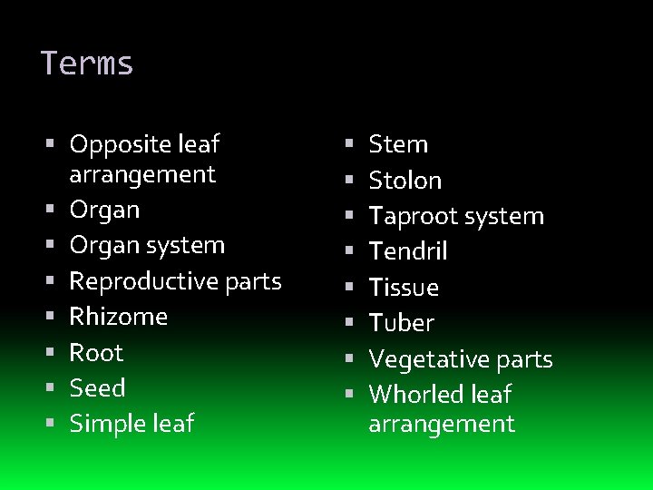 Terms Opposite leaf arrangement Organ system Reproductive parts Rhizome Root Seed Simple leaf Stem