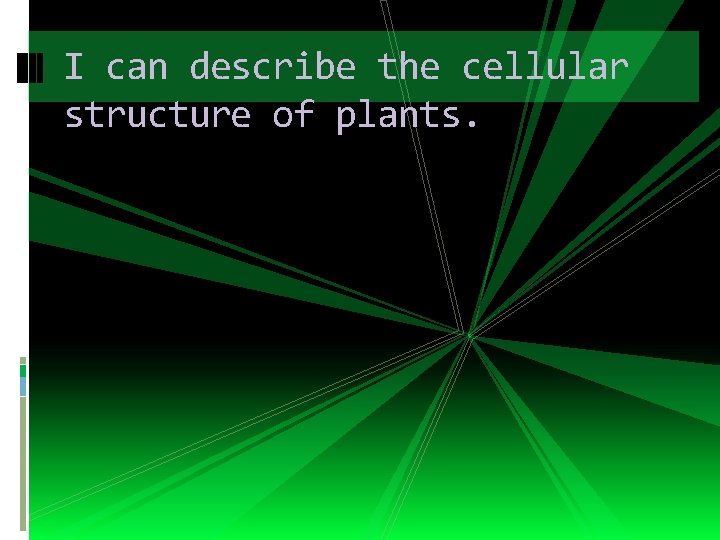 I can describe the cellular structure of plants. 